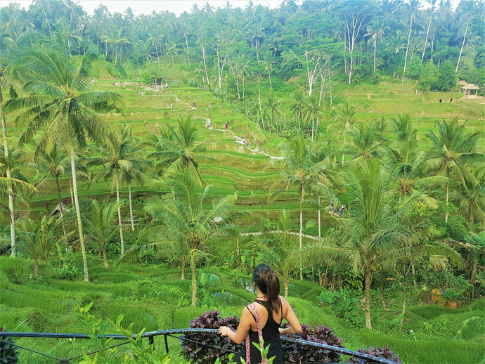 Bali: A Tropical Paradise